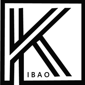 KIBAO SAS Troyes, Autre prestataire informatique