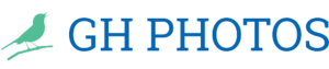 GH PHOTOS Vouzeron, Photographe