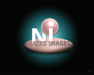 Nacre images Caen, Formateur, Photographe d'art