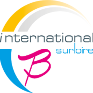 International-sur-Loire Joué-lès-Tours, Traducteur, Consultant