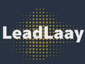 Leadlaay Besançon, Conseiller en marketing, Designer web