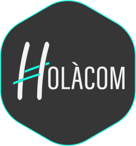 Holàcom Le Mans, Designer web