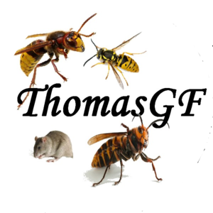 thomasgf Engayrac, Entreprise de désinfection, désinsectisation et dératisation
