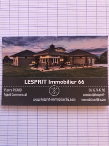 Picard Pierre Laroque-des-Albères, Agent commercial