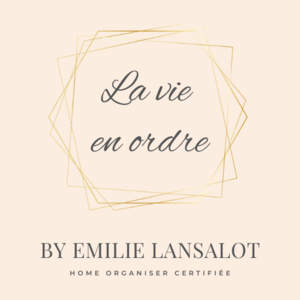 La vie en ordre Valenciennes, Conseiller en organisation, Conseiller d'entreprise