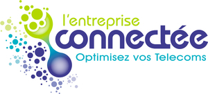 L'ENTREPRISE CONNECTEE Saint-Malo, Consultant