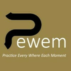 Pewem Bussy-Saint-Georges, Formateur, Autre prestataire informatique