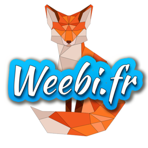 Weebi Courbevoie, Chef de projet, Designer web