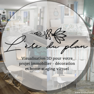 L'ère du plan Valence, Décorateur, Décorateur conseil