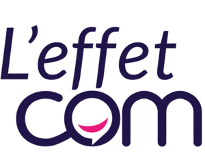 L'effet com Arcs, Conseiller en communication, Formateur