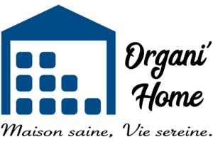Organi'Home Brest, Conseiller en organisation