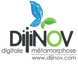 Dijinov Toulouse, Autre prestataire informatique, Conseiller d'entreprise