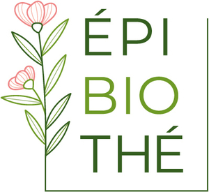 EpiBioThé Chèzeneuve, Consultant, Autre prestataire de services, Autre prestataire de services aux entreprises, Boutique en ligne