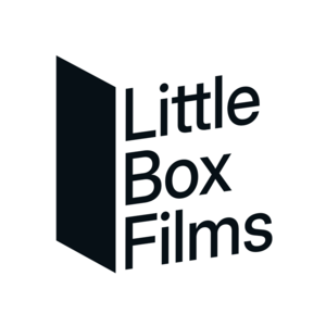 LittleBox Films Paris 15, Réalisateur audiovisuel
