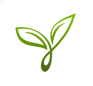 Véronique PERRAUD Vianaturo Grenoble, Naturopathe, Réflexologue