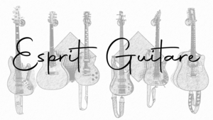 Esprit Guitare SHOELCHER, Autre prestataire de services