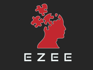 Nicolas Saumont - Ezee Plérin, Conseiller d'entreprise, Formateur, Business analyste, Conseiller en marketing, Coach, Conseiller en management, Autre prestataire marketing et commerce