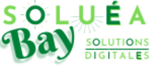 Soluéa bay Noaillan, Conseiller en communication, Designer web