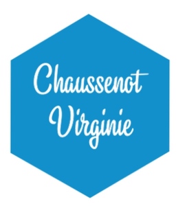 Virginie CHAUSSENOT Reims, Prestataire de services administratifs divers