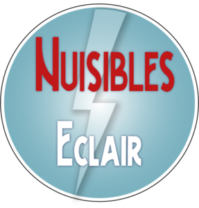 Nuisibles Eclair Mougins, Entreprise de désinfection, désinsectisation et dératisation