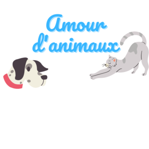 Christine Malenfant Paris 11, Autre prestataire de services