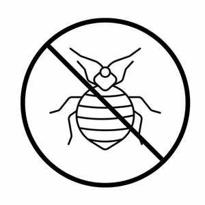 Valerie Lachieze Saint-Maurice, Entreprise de désinfection, désinsectisation et dératisation