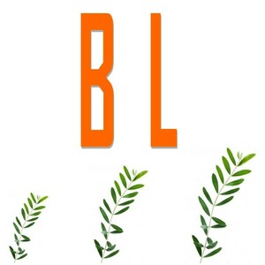 Barbara Lebourgeois Assistante Épaignes, Autre prestataire administratif, juridique ou comptable, Assistant informatique et internet à domicile