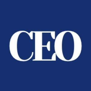 CEO Conseil Herblay, Conseiller en organisation