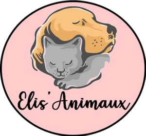 Elis’Animaux Auxonne, Prestataire en soins et promenade d’animaux de compagnie
