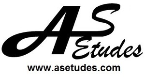 ASEtudes Le Chambon-sur-Lignon, Consultant d'études de marché