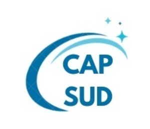 Capsud Nettoyage Barde, Agent de nettoyage industriel