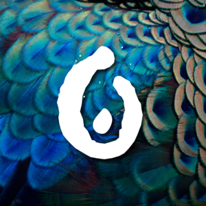 PAON CREATION Montauban, Graphiste