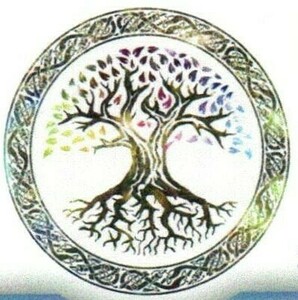 David Magnétisme Saosnes, Autre prestataire de services à la personne