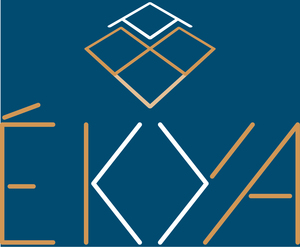 Ekya Toulouse, Conseiller d'entreprise, Consultant, Consultant d'études de marché