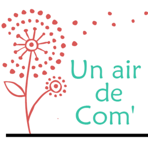 Un air de com' Arles, Conseiller en communication