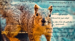 l 'écureuil ptit travaux  Estivareilles, Prestataire de petits travaux de bricolage