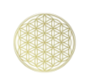 MARLENE FRIDELOUX Villiers-sur-Orge, Naturopathe