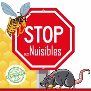 STOP AUX NUISIBLES Reyssouze, Entreprise de désinfection, désinsectisation et dératisation