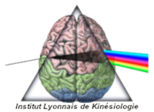 Guillaume Pina - Kinésiologue Lyon-Villeurbanne Villeurbanne, Kinésiologie