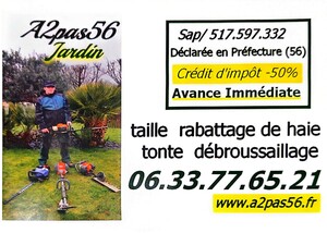 A2PAS56  Malansac, Jardinier, Prestataire de petits travaux de bricolage