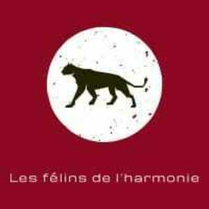 LES FÉLINS DE L'HARMONIE  Petit-Bourg, Autre prestataire de services à la personne, Autre prestataire administratif, juridique ou comptable