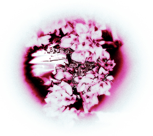 VIBING LIGHT Paris 5, Photographe