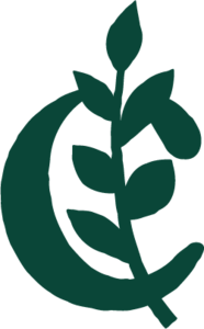 Cécile Maurer Azay-sur-Cher, Diététicien nutritionniste