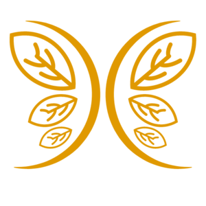 BERTON Dominique Pélussin, Coach