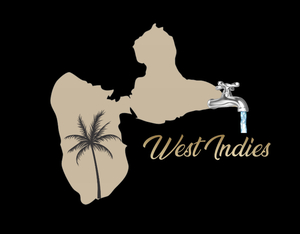 Westindies plomberie  Petit-Bourg, Plombier