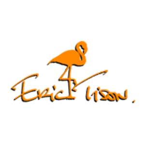 Eric Tison Paris 8, Webmaster, Conseiller technique, Webmaster