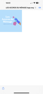 LES ACCROS DU MÉNAGE  Paris 7, Agent de nettoyage industriel