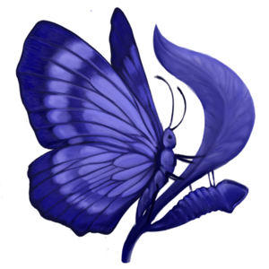 CHRYSALID Valenciennes, Coach, Autre prestataire de formation initiale et continue