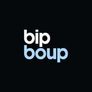 Bipboup La Boisse, Réparateur d'ordinateurs et d'équipements de communication, Assistant informatique et internet à domicile