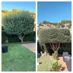 DS Environnement  Apt, Paysagiste, Jardinier